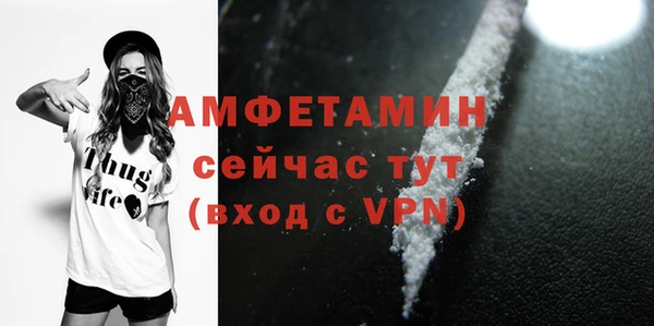 гидра Верхний Тагил