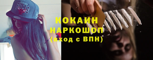 гидра Верхний Тагил