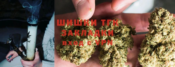 гидра Верхний Тагил