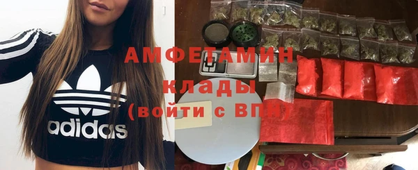 гидра Верхний Тагил