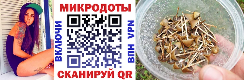 Галлюциногенные грибы ЛСД  kraken ССЫЛКА  Петушки 